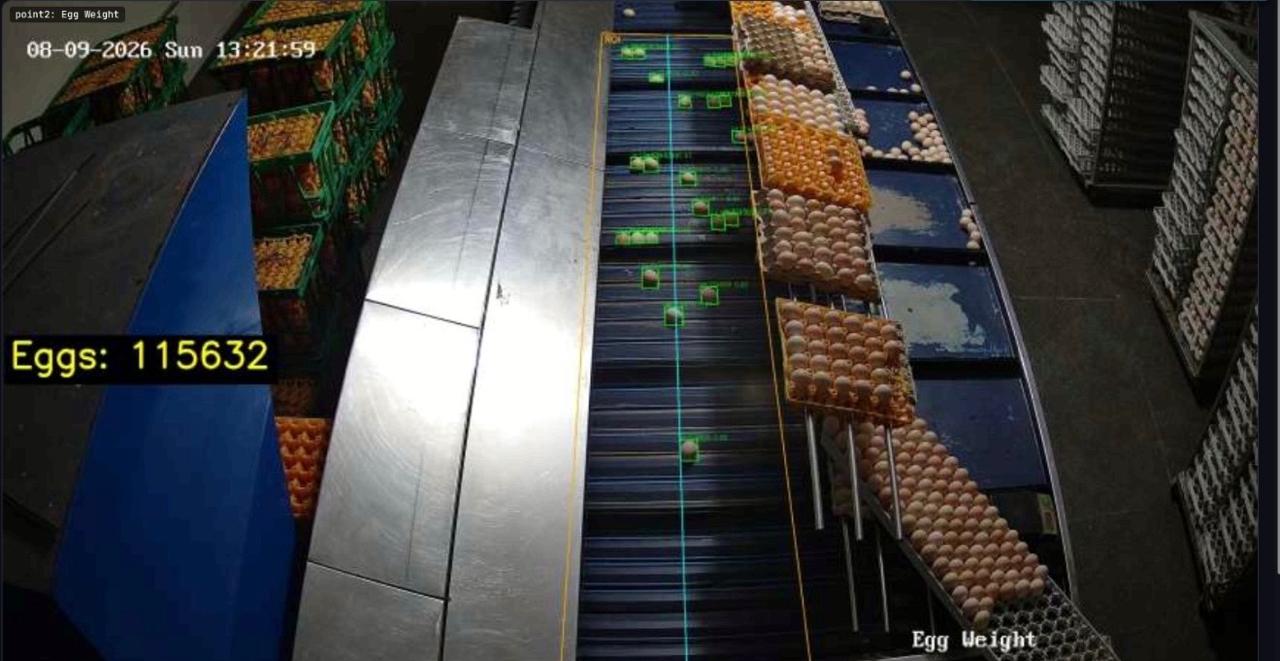 Industrial camera view of an egg conveyor with detection markers and a running egg counter.